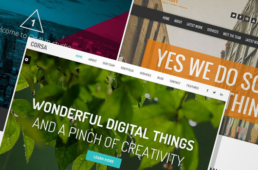 Single Page WordPress Portfolio Themes