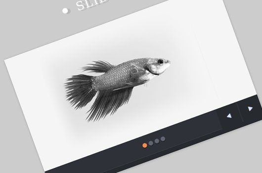 How To Make a Slideshow