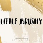 Little Brushy Font