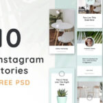 Free 10 Insta Stories PSD Template