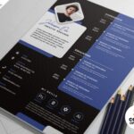 Free Designer Resume CV Template (PSD)